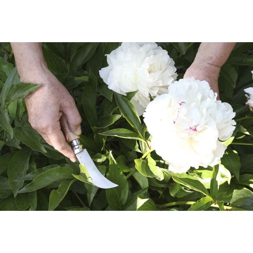 Opinel Blister Pruning Knife N°8