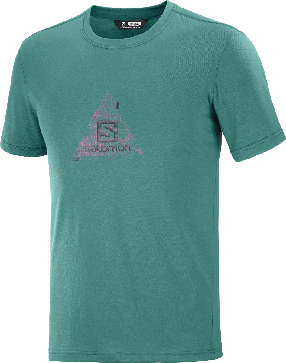 SALOMON T-krekls Explore Blend Tee green