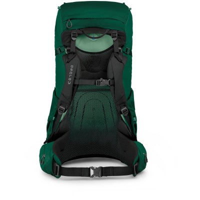 Osprey Rook 65