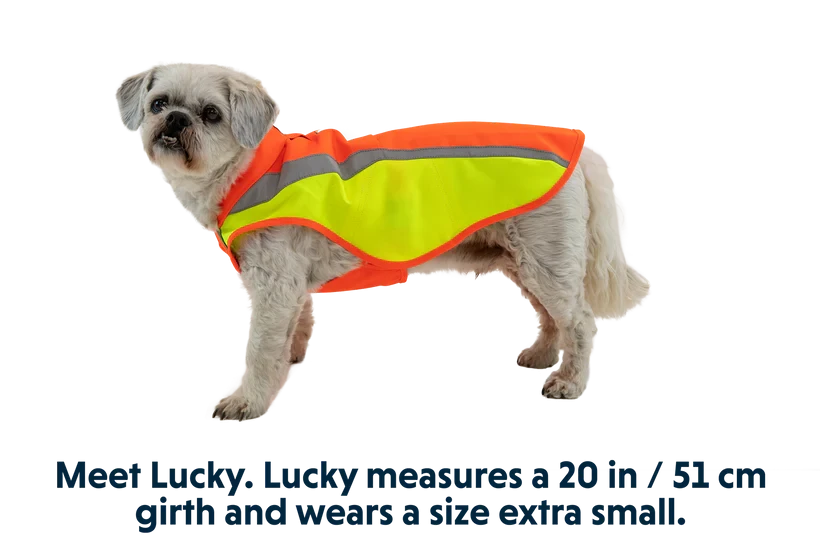 Ruffwear Lumenglow™ High-Vis Jacket