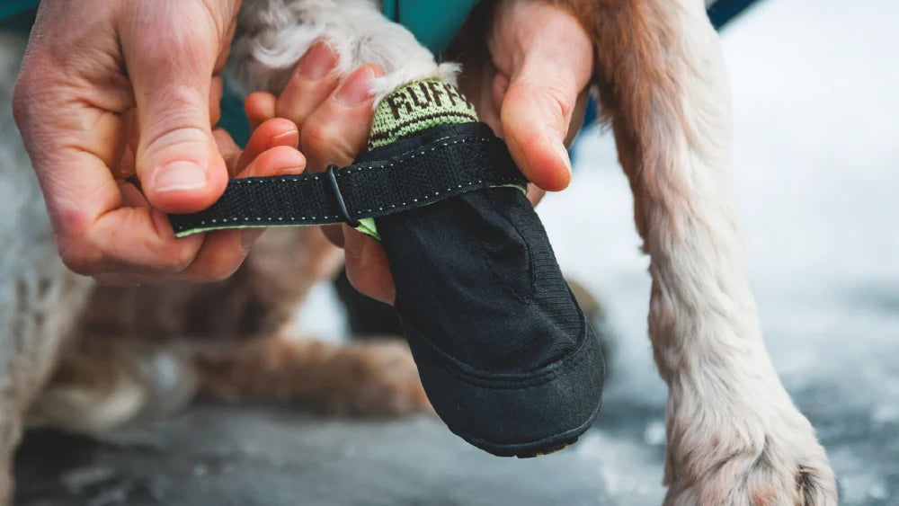 Ruffwear Summit Trex™ Shoe