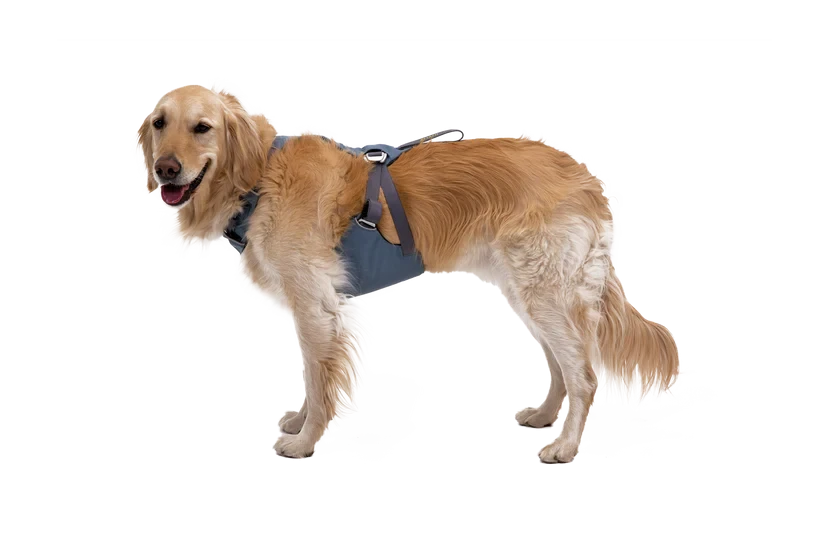Ruffwear Load Up™ Harness