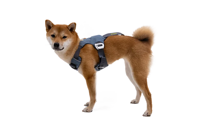 Ruffwear Load Up™ Harness