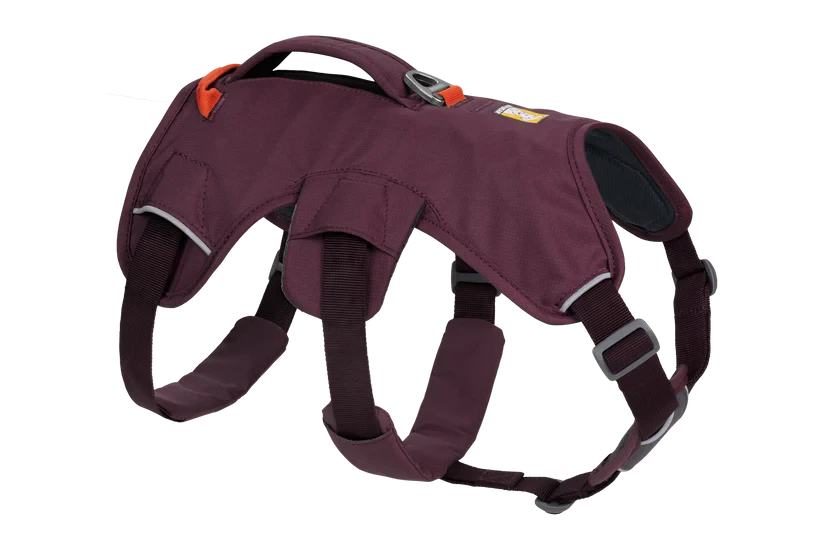 Ruffwear Web Master™ Harness