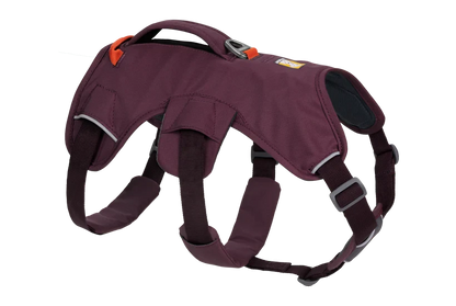 Ruffwear Web Master™ Harness