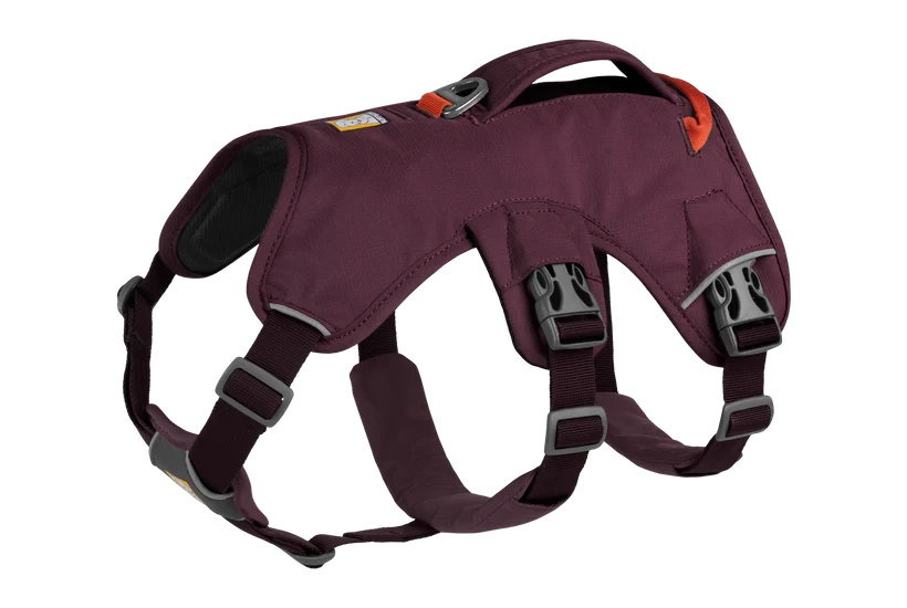 Ruffwear Web Master™ Harness