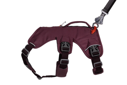Ruffwear Web Master™ Harness
