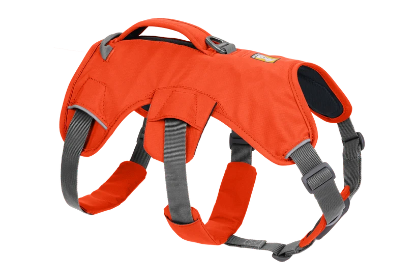 Ruffwear Web Master™ Harness