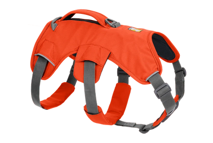 Ruffwear Web Master™ Harness