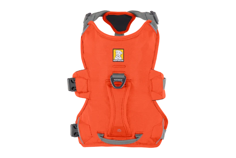 Ruffwear Web Master™ Harness