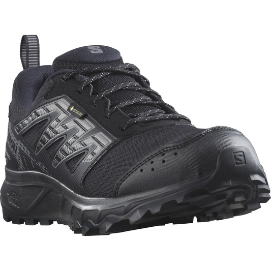 SALOMON apavi Wander GTX W black/grey