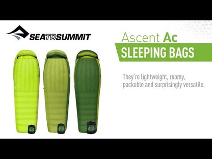 „Sea To Summit Ascent AcIII“ – reguliarus