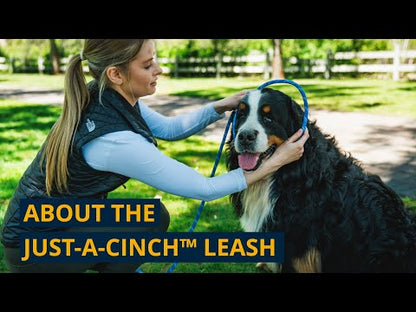 Ruffwear Just-a-Cinch™ Leash